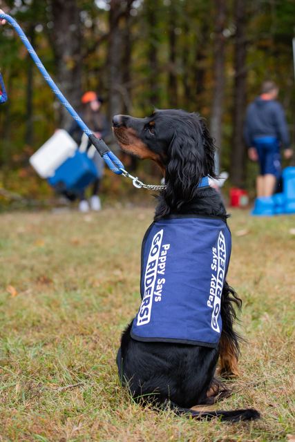 The best boy in the pit zone